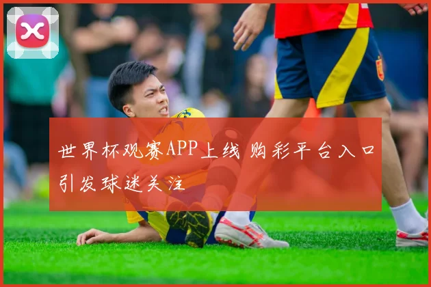 世界杯观赛APP上线 购彩平台入口引发球迷关注