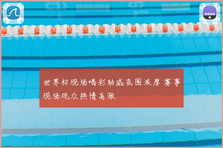 世界杯现场喝彩助威氛围浓厚 赛事现场观众热情高涨