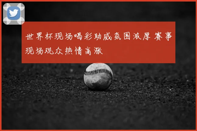世界杯现场喝彩助威氛围浓厚 赛事现场观众热情高涨