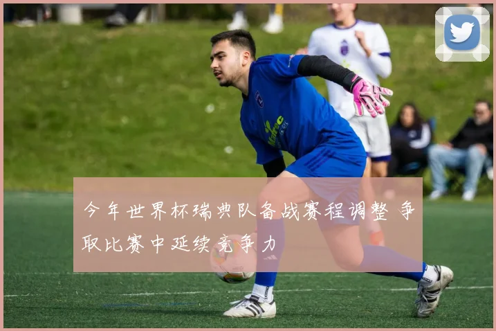 今年世界杯瑞典队备战赛程调整 争取比赛中延续竞争力