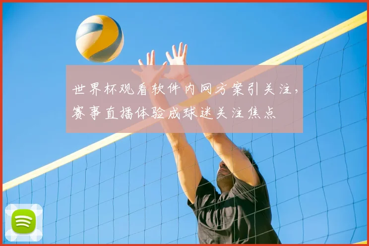 世界杯观看软件内网方案引关注，赛事直播体验成球迷关注焦点