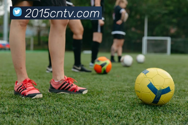 问鼎在线登录入口品牌故事