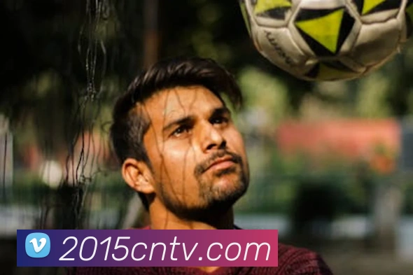 问鼎在线登录入口服务体系